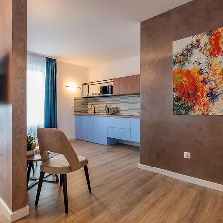 Sarmihouse 公寓式酒店 克卢日-纳波卡